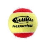 Gamma Sports Pressureless Practice Tennis Balls