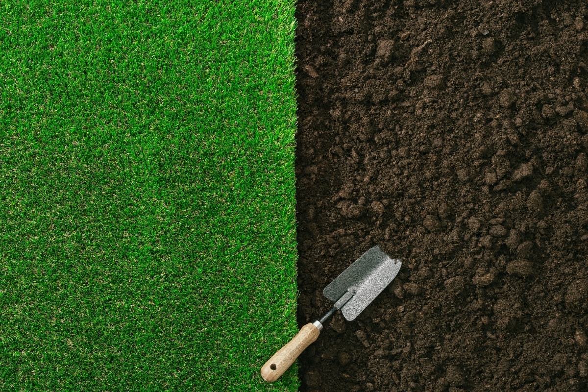 6 Best Organic Lawn Fertilizers in 2024