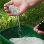 Compost vs. Fertilizer
