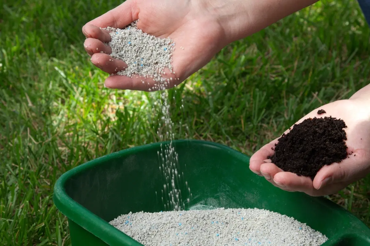 Compost vs. Fertilizer