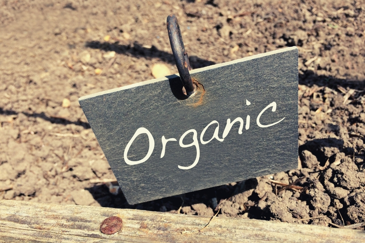 7 Best Organic Liquid Fertilizers for Vegetables & Gardens in 2021