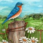 Craftibly-Bluebird-in-the-Daisy-Meadow
