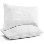 Clara Clark Bamboo Pillows